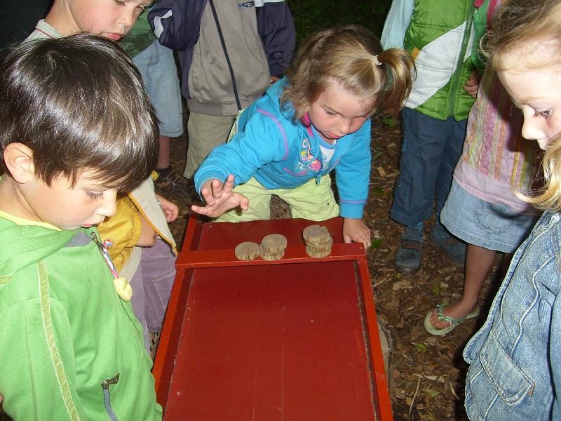 070612 skoalreiske beukers 061.jpg